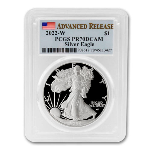1 oz American Silver Eagle Coin V8455