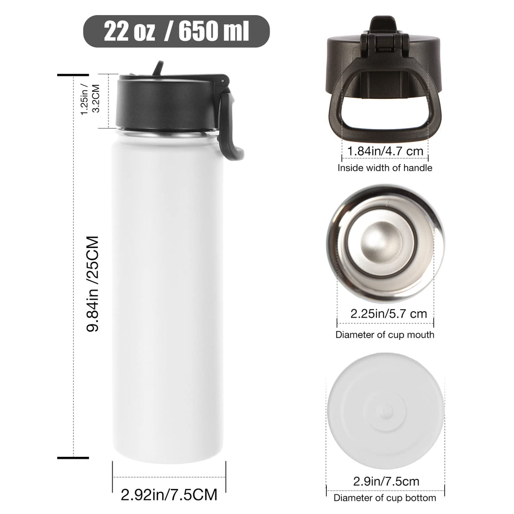 22 oz Stainless Steel Insulated Water Bottles with Straw 8 Pack B962