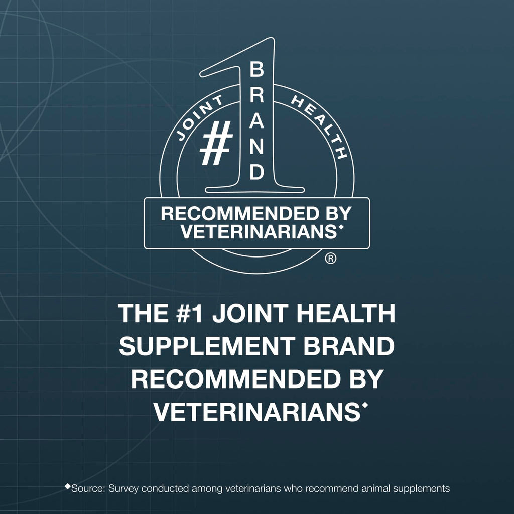Chewable Tablets Joint Health Supplement for Small to Medium Dogs, 150 Count T892