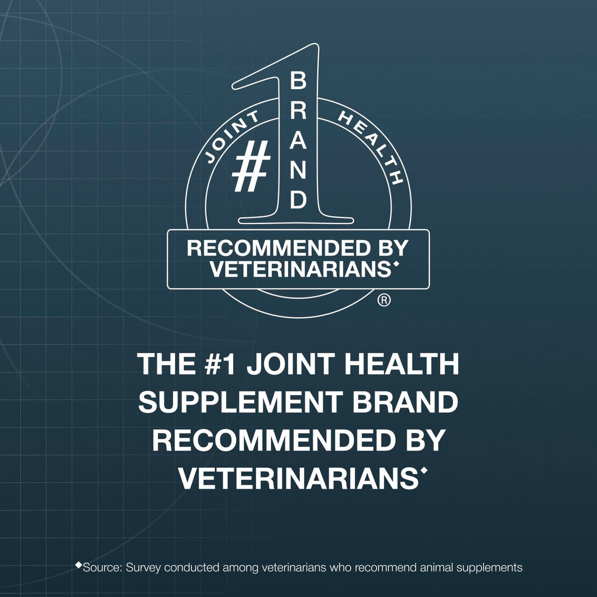 Chewable Tablets Joint Health Supplement for Small to Medium Dogs, 150 Count T892