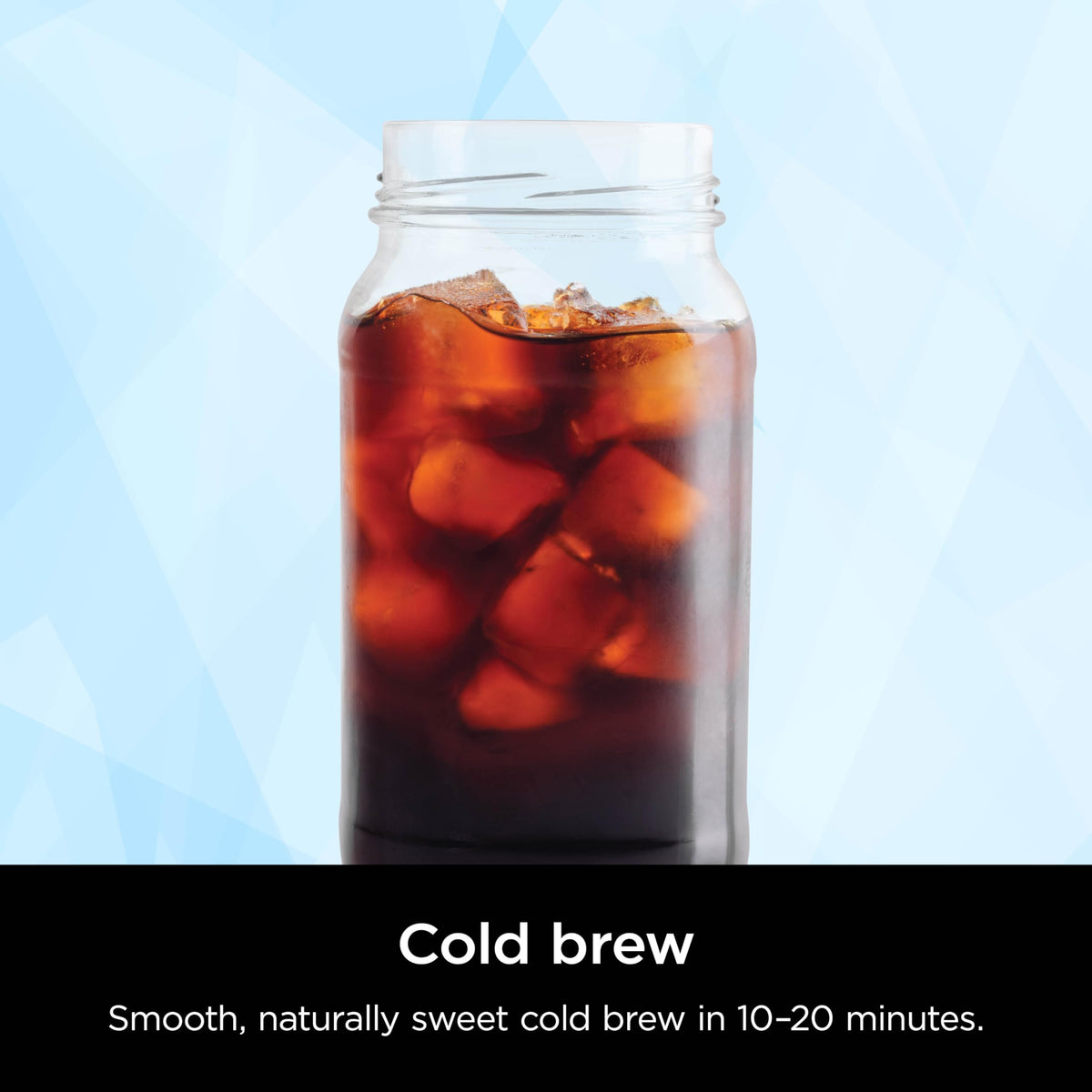 Black Hot & Iced XL Coffee Maker E3514