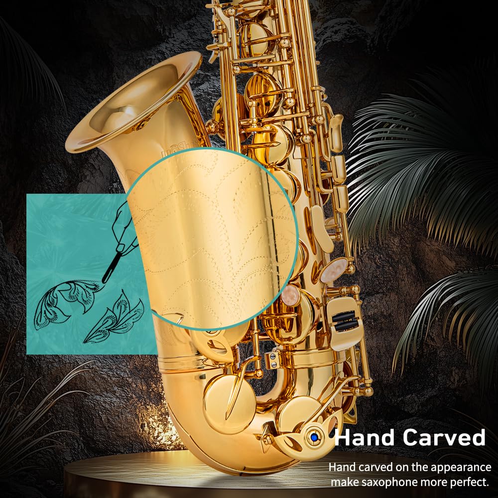 Student Beginner Eb Saxophone Kit E605
