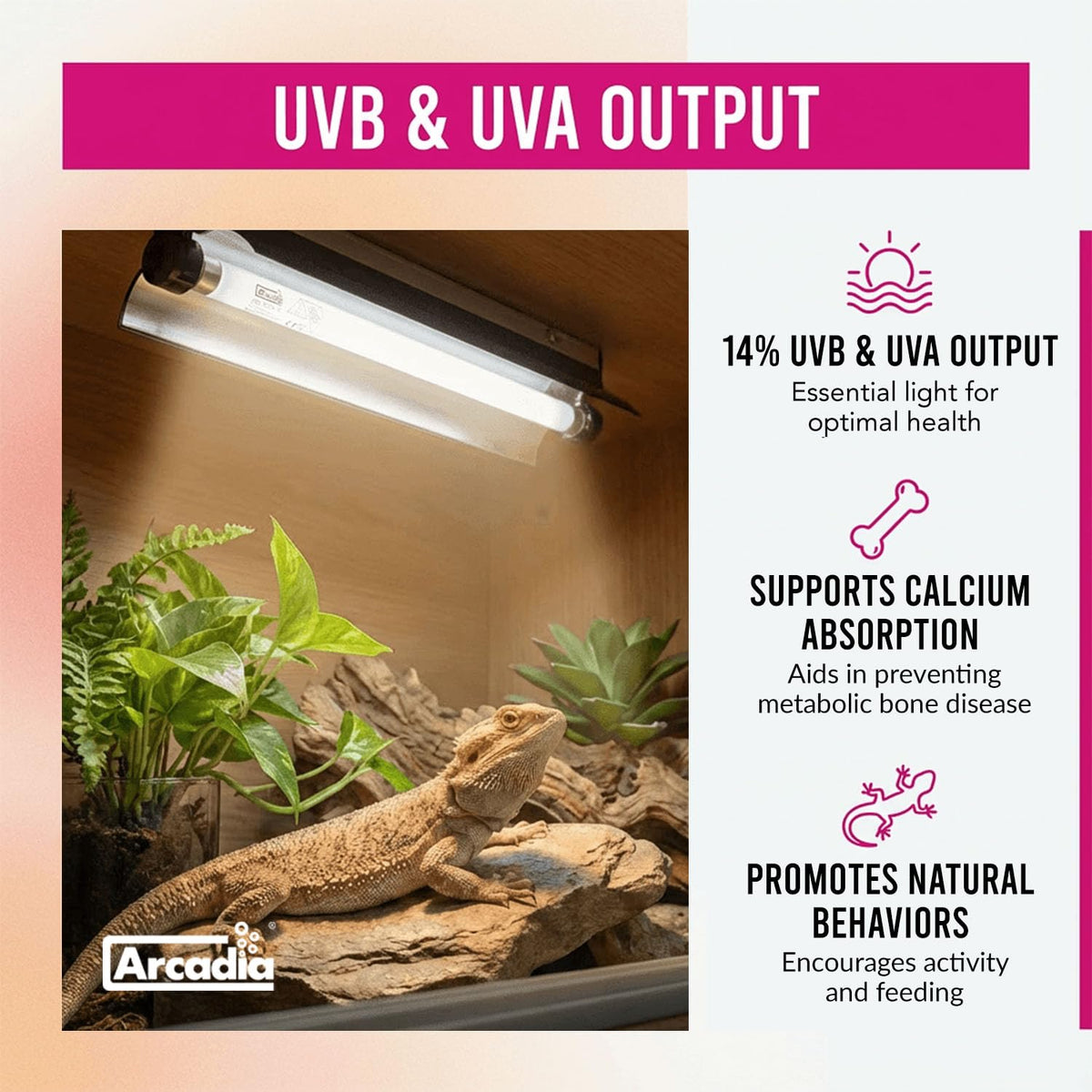 24" 24 Watts 14% UVB Reptile Light Fixture Kit R199105