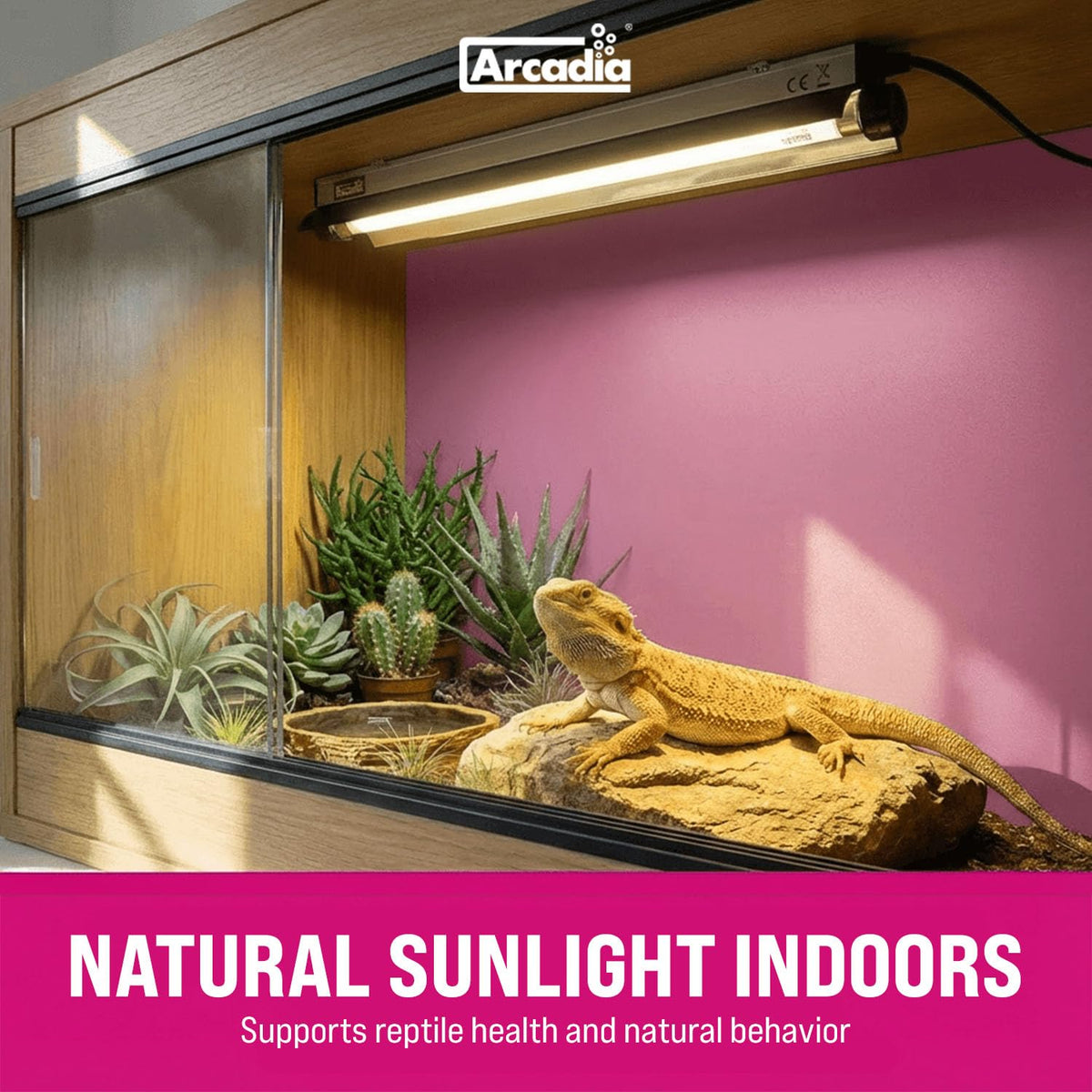24" 24 Watts 14% UVB Reptile Light Fixture Kit R199105