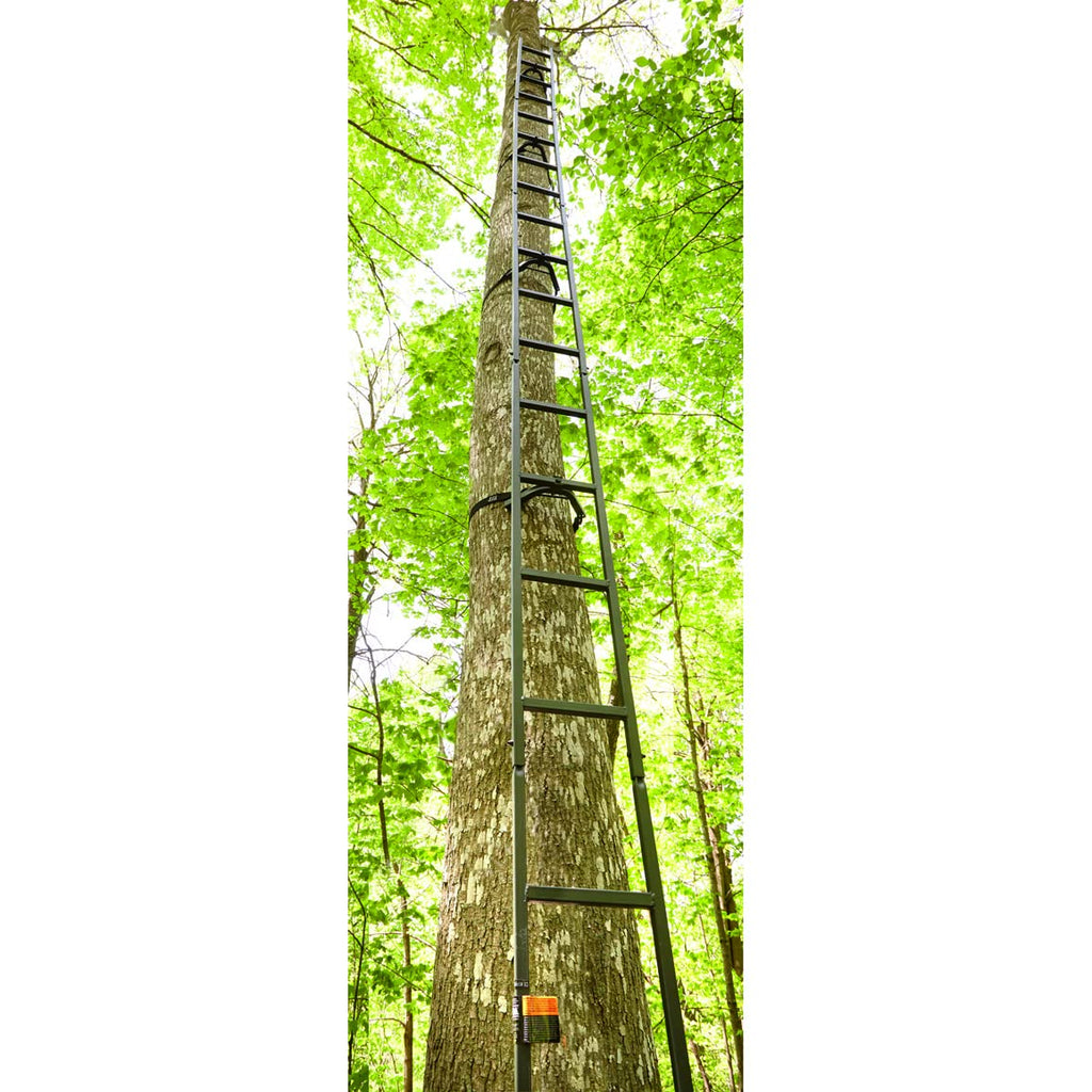 Climbing Ladder O2975