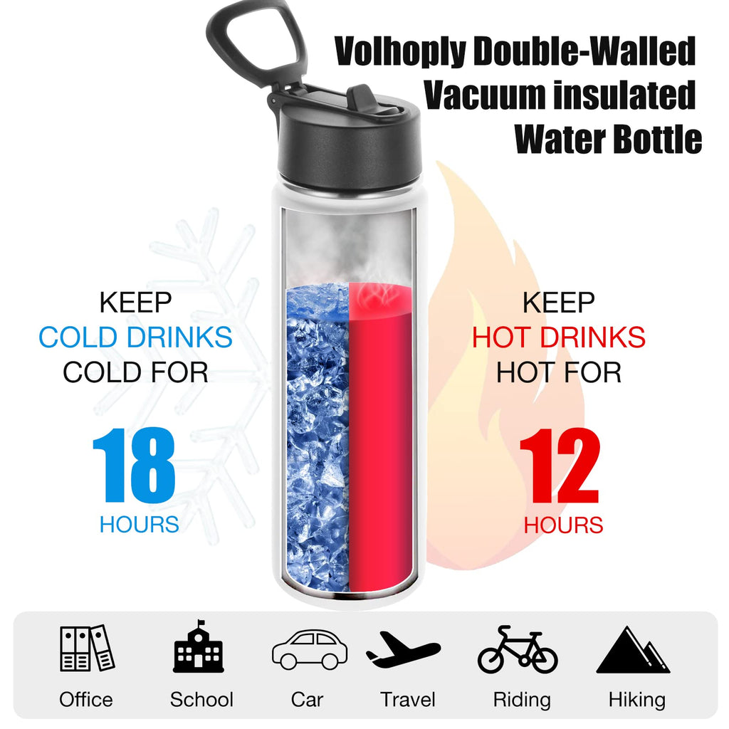 22 oz Stainless Steel Insulated Water Bottles with Straw 8 Pack B962