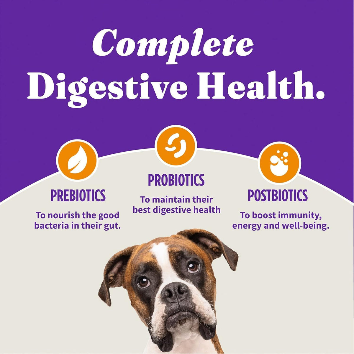 Dry Dog Food, Cage-Free Chicken & Brown Rice Recipe, 21 lb H6333