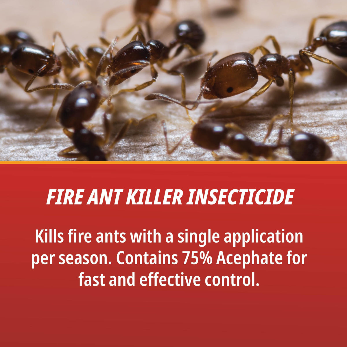 Fire Ant Killer W410153