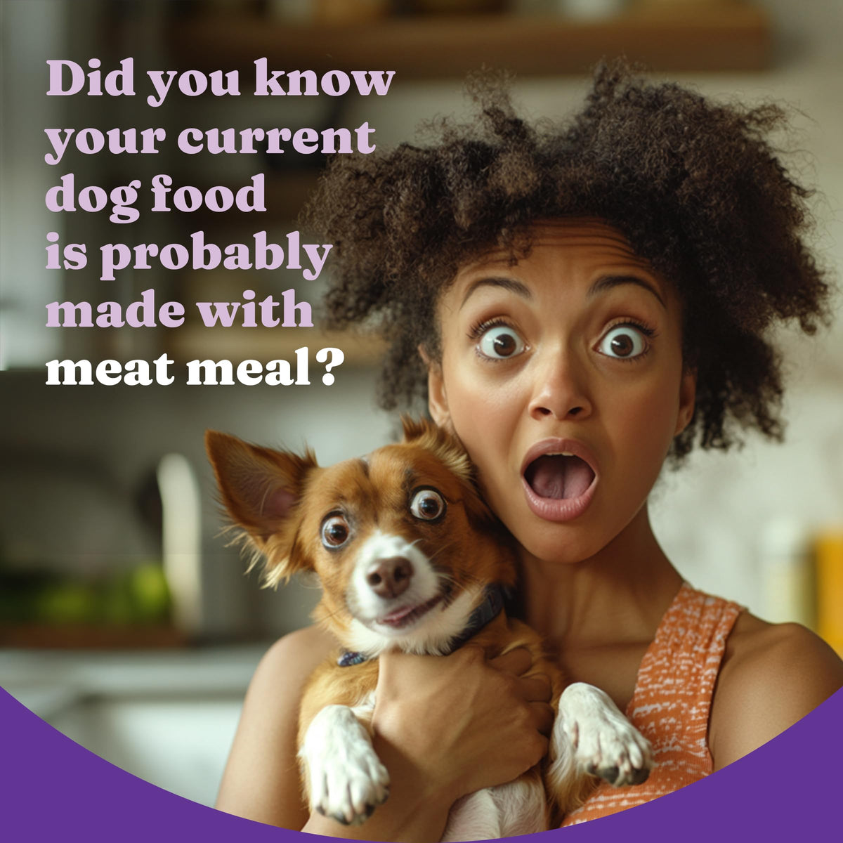 Dry Dog Food, Cage-Free Chicken & Brown Rice Recipe, 21 lb H6333