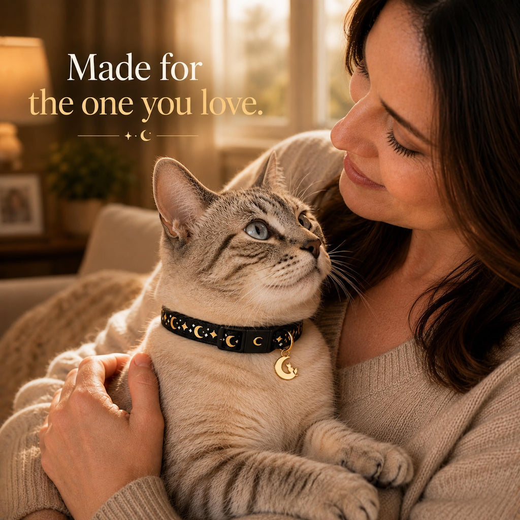 Breakaway Cat Collar with Bell K914
