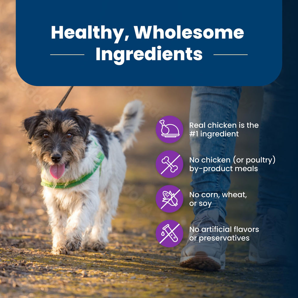 Chicken Adult Dry Dog Food, 4 lb S48705