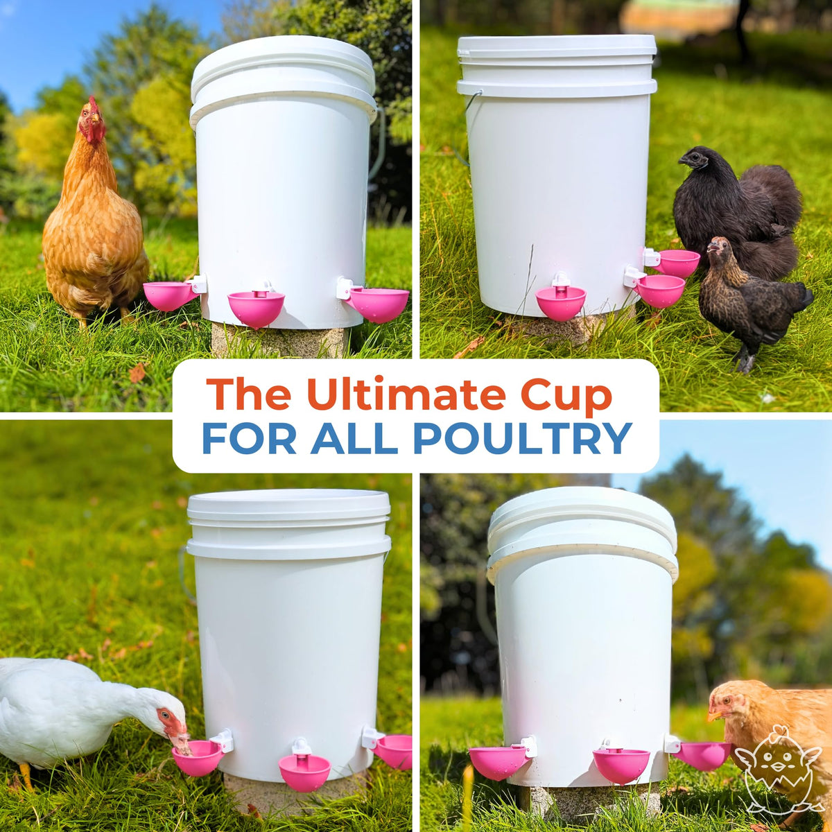 Automatic Chicken Waterer Cups 5 Pack S357
