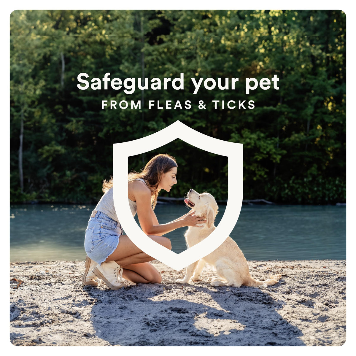 Flea and Tick Topical for Dogs 55+ lbs K3441