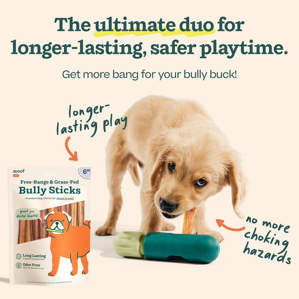 Bully Sticks 6" 5 Pack K197991