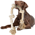 Dog Rope Toys for Aggressive Chewers J64594