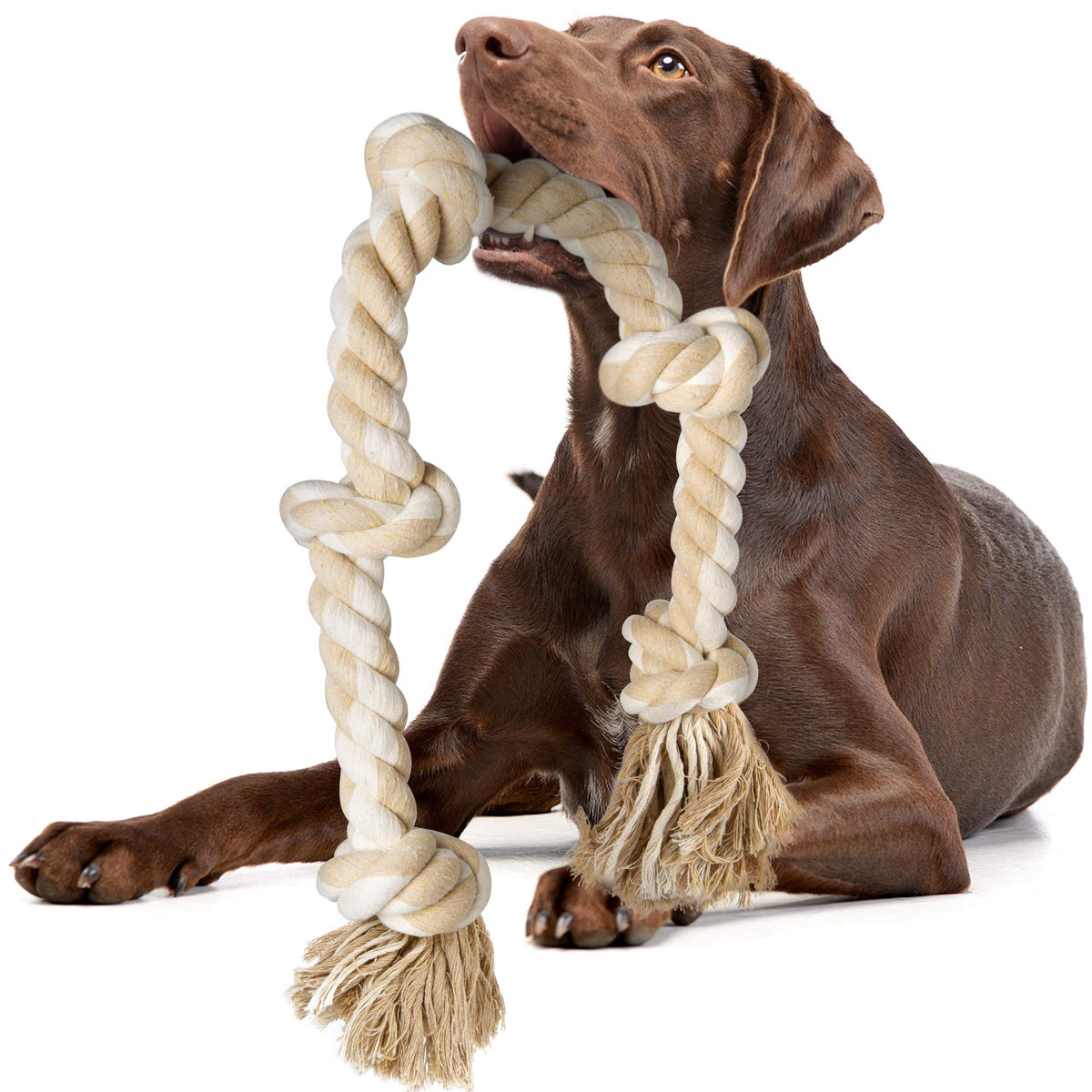 Dog Rope Toys for Aggressive Chewers J64594