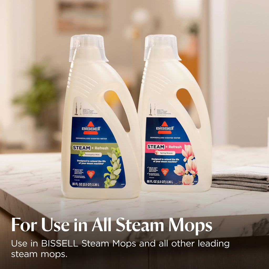 Steam Cleaner Mop T6074