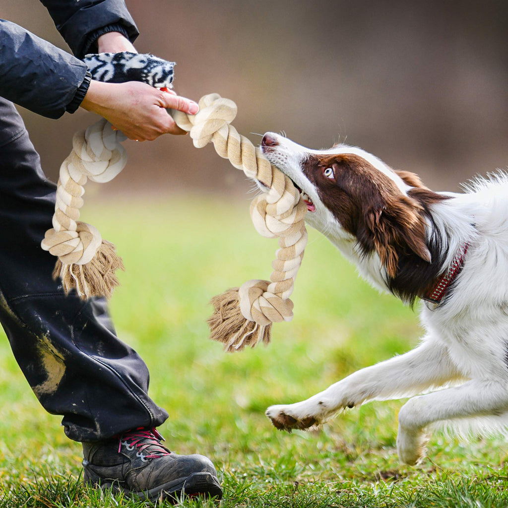 Dog Rope Toys for Aggressive Chewers J64594