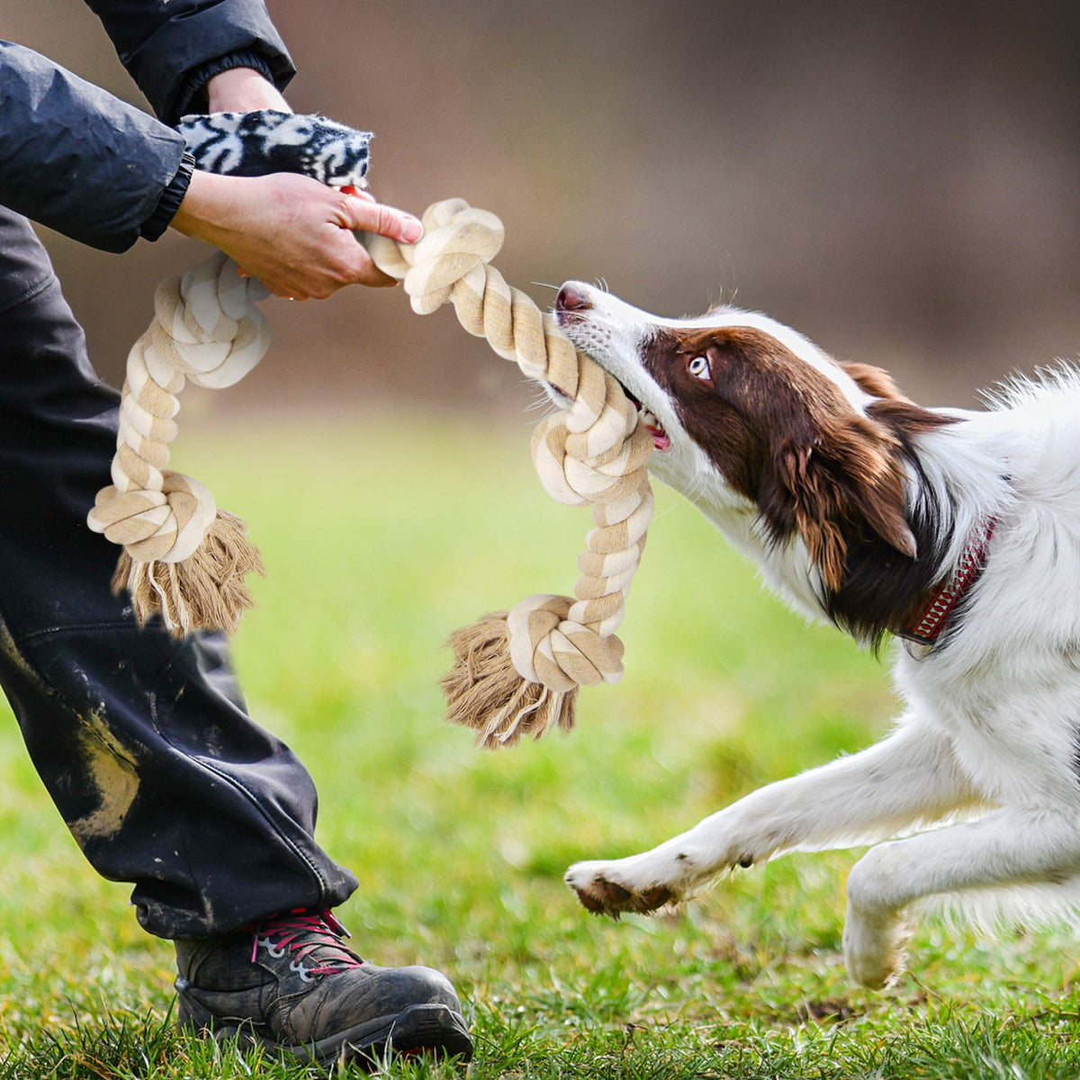 Dog Rope Toys for Aggressive Chewers J64594