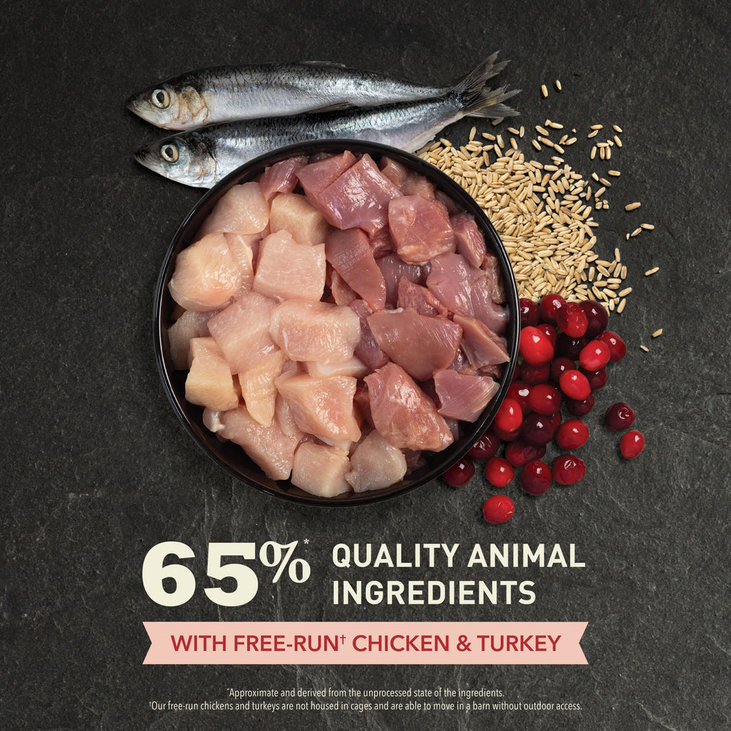 Dry Cat Food Chicken Turkey 4lb Bag T14768