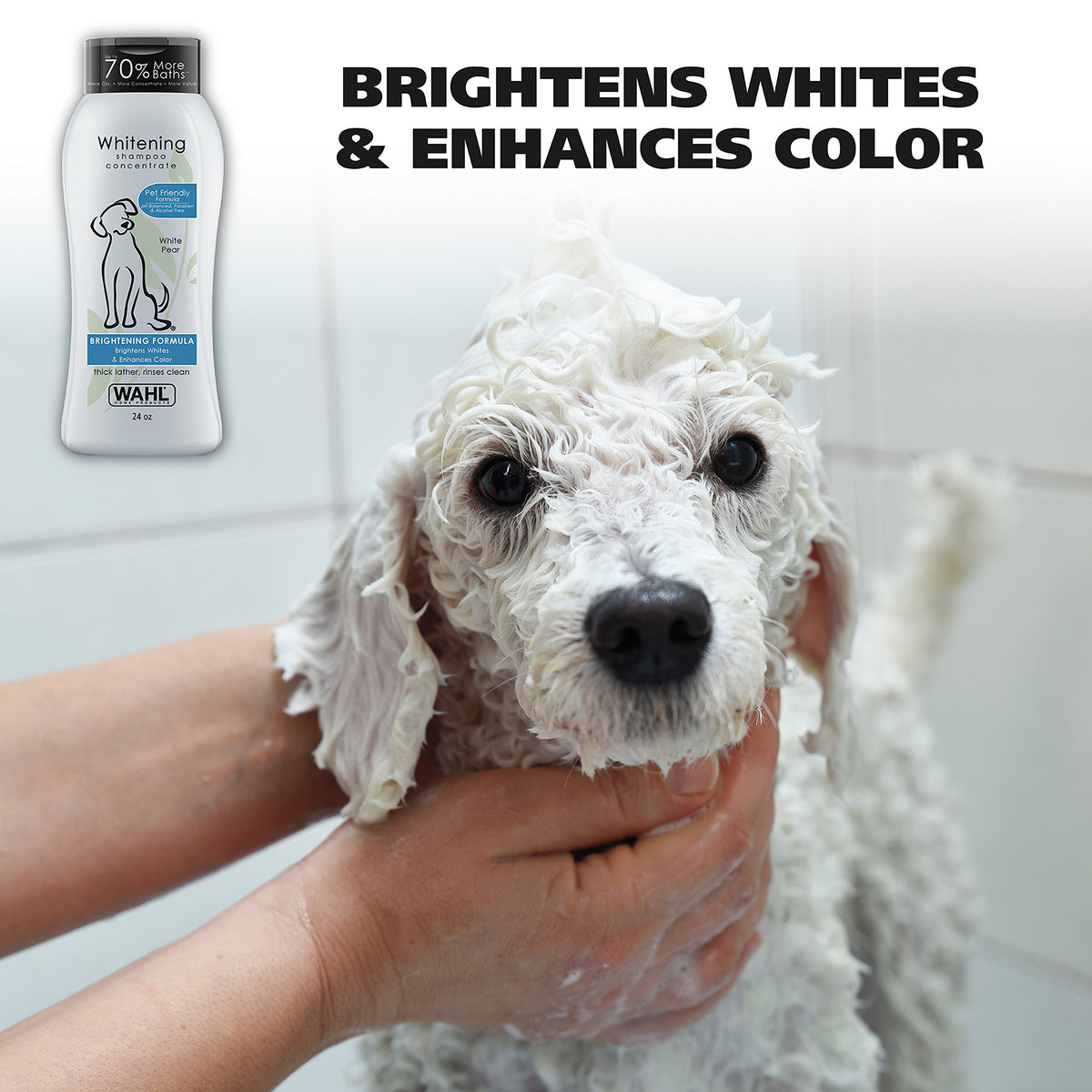 White Pear Dog Shampoo 24 oz B664010